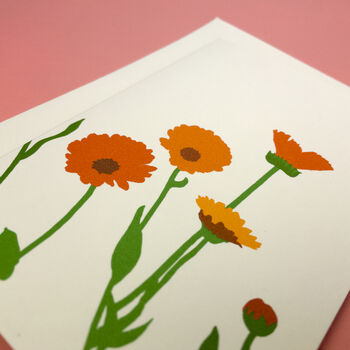 Welsh Pot Marigold Illustrated Card With Seeds, 3 of 6