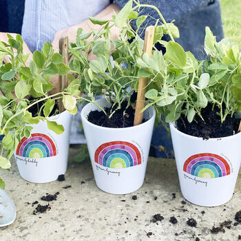 Personalised Family Rainbow Plant Pot, 3 of 5