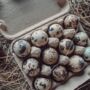 Box Of 60 Quail Egg's Natural, thumbnail 3 of 3