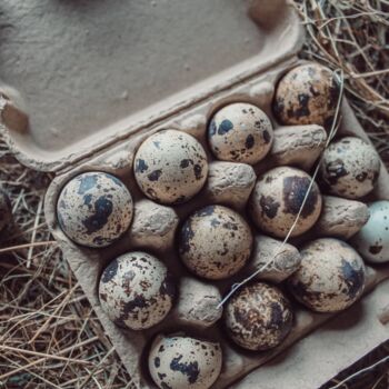 Box Of 60 Quail Egg's Natural, 3 of 3