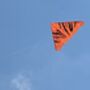 Handcrafted Delta Kite Wild Things, thumbnail 5 of 6