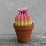 Multi Coloured Origami Cactus With Paper Flower, thumbnail 6 of 10