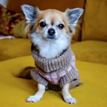 Chihuahua / Puppy Pure Wool Knitted Jumper In Pink, 3 of 7