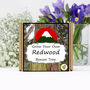 Gardening Gift. Redwood Bonsai Tree Growing Kit, thumbnail 1 of 4