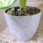 40cm Artificial Taro House Plant In Decorative Planter, thumbnail 2 of 3