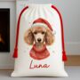 Personalised Poodle Santa Sack, thumbnail 1 of 3