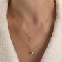 Dainty 18 K Gold Filled Shell Clam Necklace, thumbnail 1 of 6
