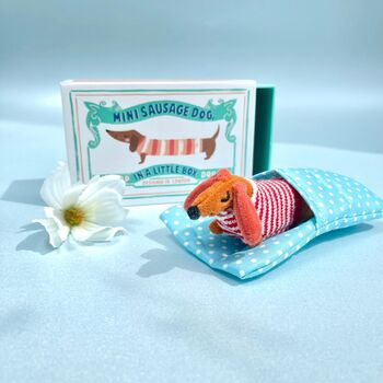 Personalised Mini Dachshund In Matchbox Bed, 4 of 5