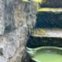 Round Green Ceramic Bird Bath With Two Love Birds, thumbnail 2 of 8