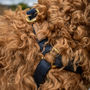 Personalised Cork Dog Harness, thumbnail 3 of 6