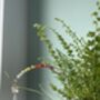Rainbow Crystal Plant Stake With Swarovski Butterfly Suncatcher, thumbnail 6 of 8
