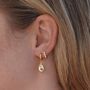 Gemstone Mini Pebble Hoop Earrings, thumbnail 8 of 12