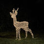 Swinsty Stag Dual Colour LED Battery Outdoor Reindeer, thumbnail 2 of 3