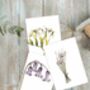 “Botanicals” Boxed Set Of Eight Notecards Plastic Free, thumbnail 3 of 4