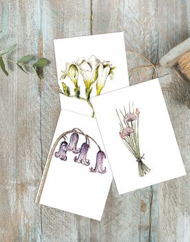 “Botanicals” Boxed Set Of Eight Notecards Plastic Free, 3 of 4
