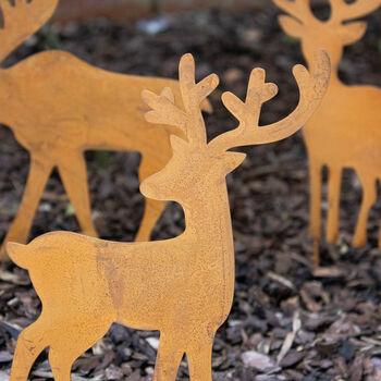 Rusty Decorative Stag Garden Stakes, 2 of 3