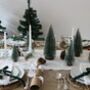 Winter Wonderland Festive Christmas Tablescape, thumbnail 7 of 11