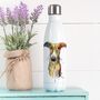 Colourful Greyhound Water Bottle, thumbnail 2 of 2