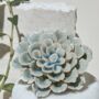 Porcelain Decorative Coral Flowers, thumbnail 3 of 5