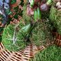 Fresh Hyacinth Kokodama Moss Spring Bulbs, Set Of Two, thumbnail 3 of 8