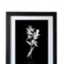 Nine Framed Botanical Wall Art Prints, thumbnail 11 of 12