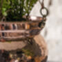 Hammered Copper Hanging Planter – Brass Chain, 17cm, thumbnail 4 of 8