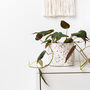 Classic Handmade Terrazzo Indoor Plant Pot Large, thumbnail 2 of 7