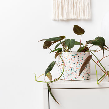 Classic Handmade Terrazzo Indoor Plant Pot Large, 2 of 7