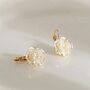 Monaco D’or Ivory Gold Centi Flower Shell Gift Earrings, thumbnail 3 of 4