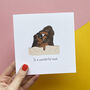 Dogs Cuddling Card For Mum, thumbnail 3 of 5