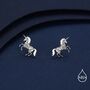 Oxidised Sterling Silver Unicorn Fossil Stud Earrings, thumbnail 4 of 12