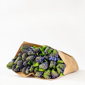 Ultra Marine Blue Hyacinths Fresh Flower Bouquet, 2 of 2