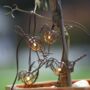String Of Indoor , Outdoor LED Robin Lights, thumbnail 4 of 6