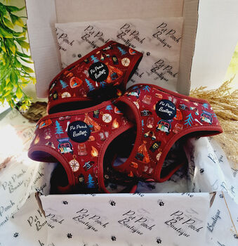 Great Adventure Dog Harness With Optional Set, 2 of 7