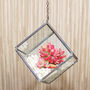 Mini Geometric Glass Cube Succulent Terrarium Kit, thumbnail 3 of 5