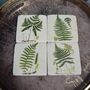 Fern Coasters Set Of Four Table Protectors Plant Lover, thumbnail 1 of 6
