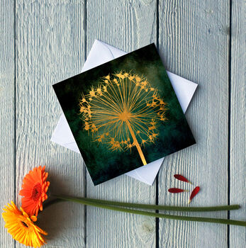 Globe Allium Seed Head Greetings Card, 2 of 2