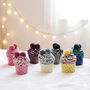 Cupcake Socks, thumbnail 1 of 12