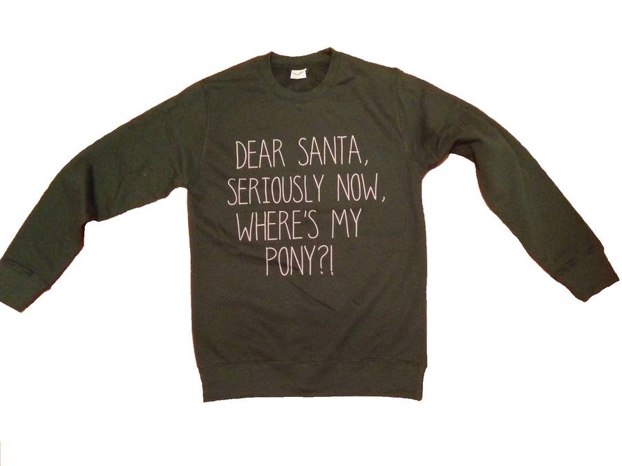 Christmas Jumper Dear Santa By Ginger Raven | notonthehighstreet.com