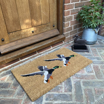 Flying Duck Doormat And Boot Brush Set, 8 of 8
