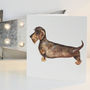 Wire Haired Dachshund Greetings Card, thumbnail 1 of 2