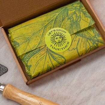 The Herb Garden Seed Collection, 3 of 8