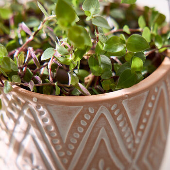 Diamond Patterned Terracotta Footed Plant Pot, 4 of 5