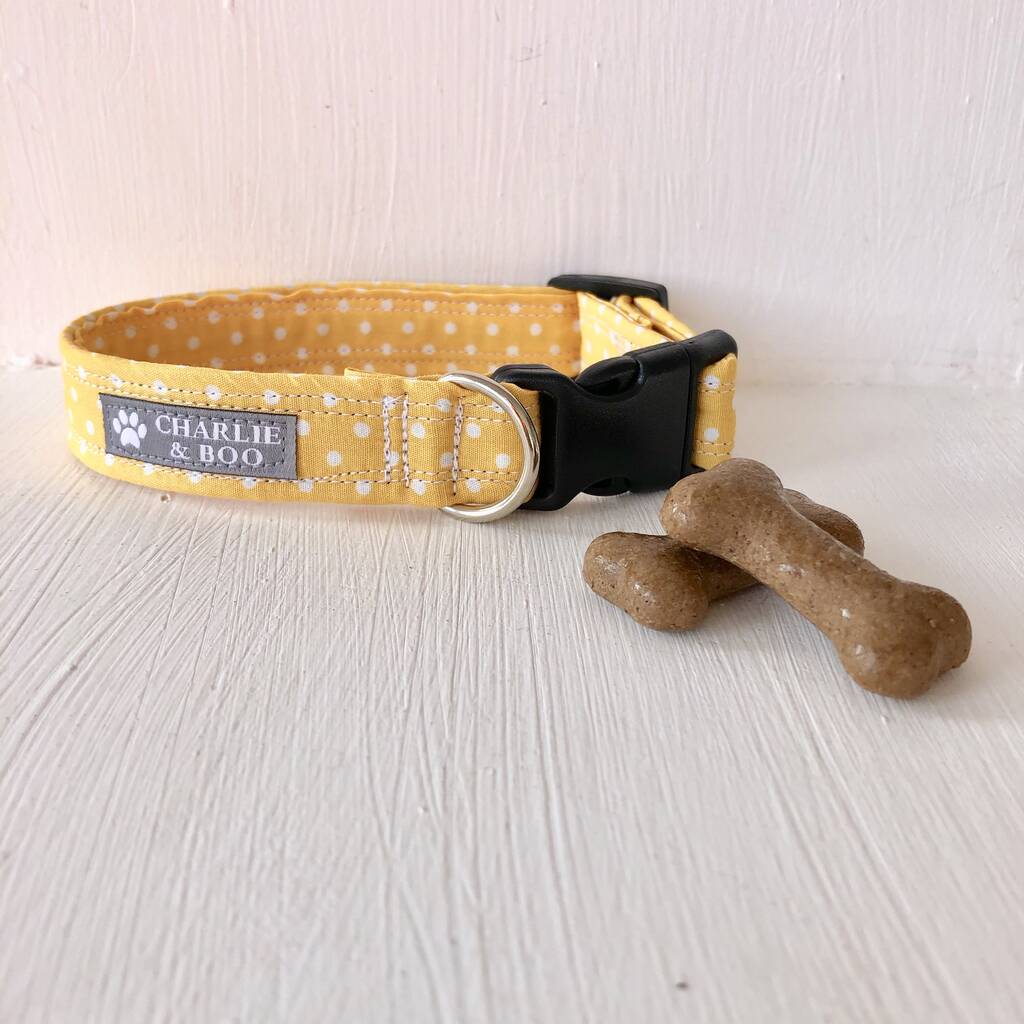 Yellow Dog Collar For Girl Or Boy Dogs, 1 of 3