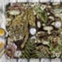 The Prehistoric Eden Serving Tray In Burgandy Featuring Extinct Wildlife By House Of Norris, thumbnail 1 of 3