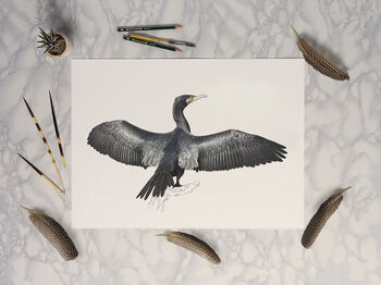 Great Cormorant Giclée Art Print, 2 of 3