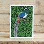A Pack Of Four Mixed Exotic Pheasant Cards, thumbnail 4 of 5