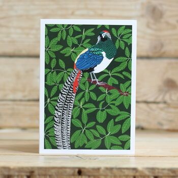 A Pack Of Four Mixed Exotic Pheasant Cards, 4 of 5