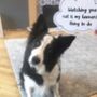 Pet Thought Bubbles In Pastel, thumbnail 7 of 9