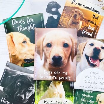 Labrador Lovers Tea Gift Set, 11 of 12